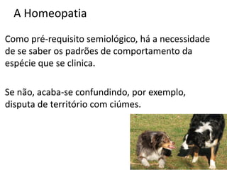 A Homeopatia
Como pré-requisito semiológico, há a necessidade
de se saber os padrões de comportamento da
espécie que se clinica.
Se não, acaba-se confundindo, por exemplo,
disputa de território com ciúmes.
 