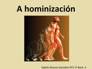 A hominización ,[object Object]