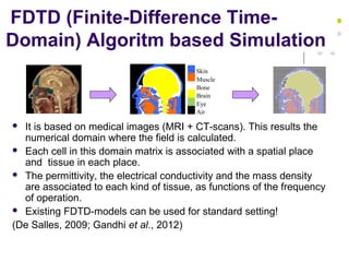 FDTD (Finite-Difference Time-
Domain) Algoritm based Simulation
 It is based on medical images (MRI + CT-scans). This res...