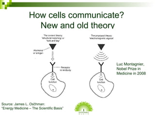 How cells communicate?  New and old theory Source: James L. Oschman: “Energy Medicine – The Scientific Basis” Luc Montagni...