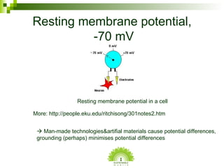 Resting membrane potential,  -70 mV Resting membrane potential in a cell More: http://people.eku.edu/ritchisong/301notes2....