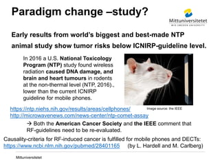 Mittuniversitetet
Paradigm change –study?
Early results from world’s biggest and best-made NTP
animal study show tumor ris...