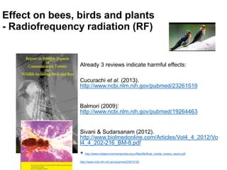 Mittuniversitetet
Effect on bees, birds and plants
- Radiofrequency radiation (RF)
Already 3 reviews indicate harmful effe...
