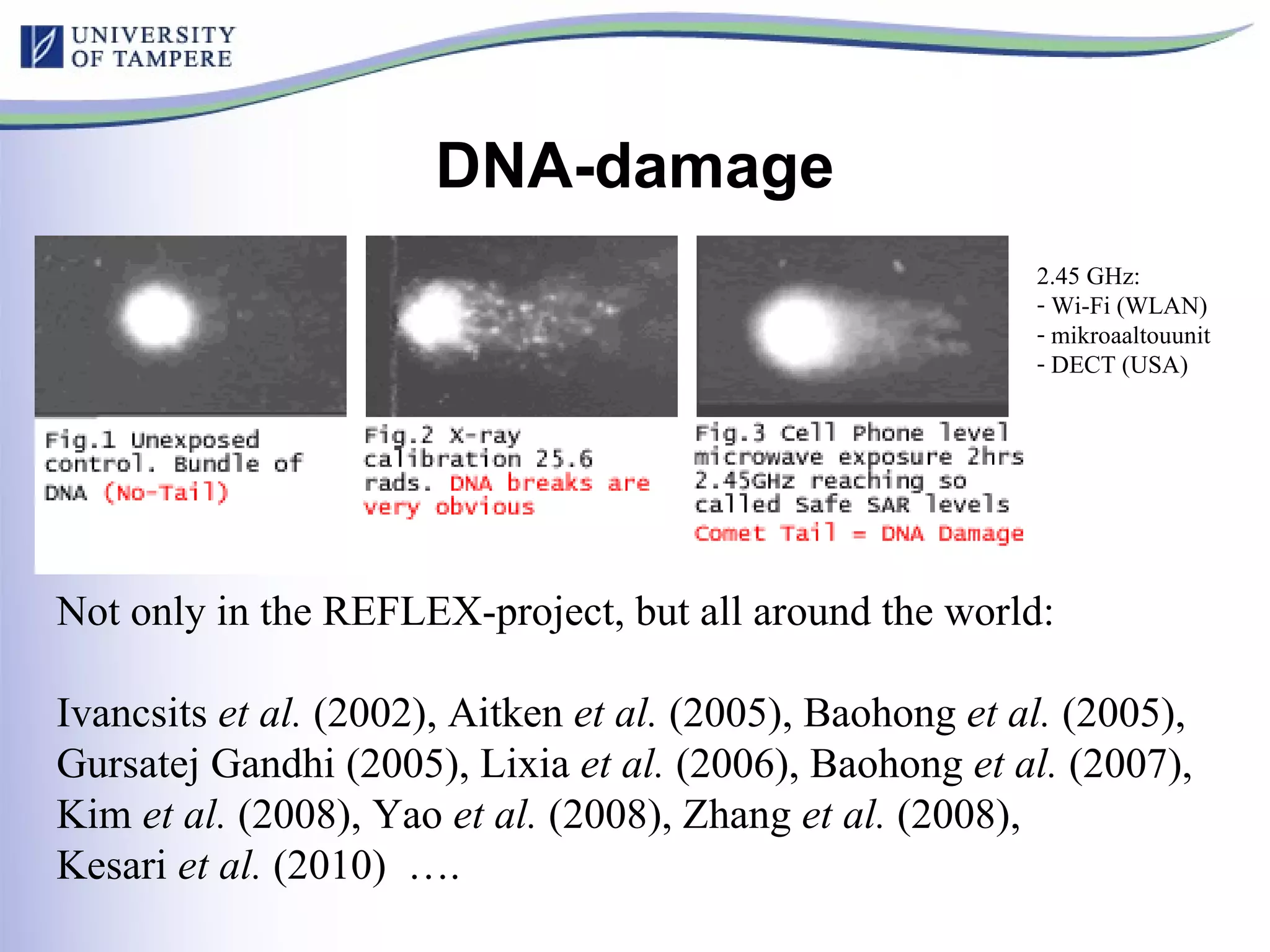 DNA-damage Not only in the REFLEX-project, but all around the world: Ivancsits  et al.  (2002), Aitken  et al.  (2005), Baohong  et al.  (2005),  Gursatej Gandhi (2005), Lixia  et al.  (2006), Baohong  et al.  (2007), Kim  et al.  (2008), Yao  et al.  (2008), Zhang  et al.  (2008),  Kesari  et al.  (2010)  ….  2.45 GHz: Wi-Fi (WLAN) mikroaaltouunit DECT (USA) 