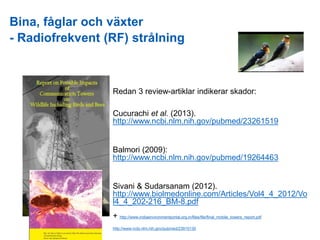 Bina, fåglar och växter
- Radiofrekvent (RF) strålning
Redan 3 review-artiklar indikerar skador:
Cucurachi et al. (2013).
...