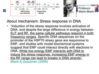 Voltage Transients and Health - Is There a Connection?