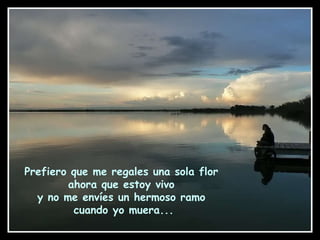 Prefiero que me regales una sola flor  ahora que estoy vivo  y no me envíes un hermoso ramo  cuando yo muera... 