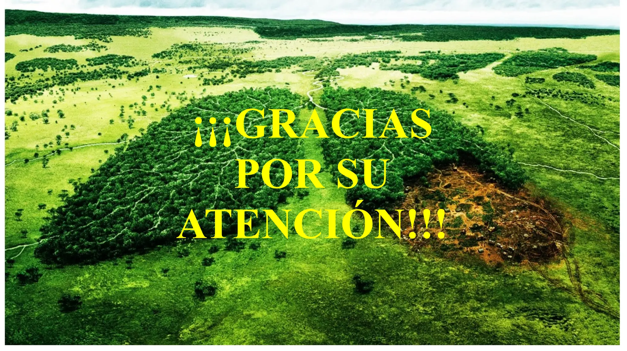 ¡¡¡GRACIAS
POR SU
ATENCIÓN!!!
 