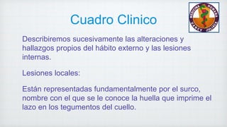 Cuadro Clinico
Describiremos sucesivamente las alteraciones y
hallazgos propios del hábito externo y las lesiones
internas.
Lesiones locales:
Están representadas fundamentalmente por el surco,
nombre con el que se le conoce la huella que imprime el
lazo en los tegumentos del cuello.
 