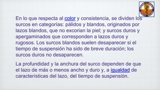 En lo que respecta al color y consistencia, se dividen los
surcos en categorías: pálidos y blandos, originados por
lazos blandos, que no excorian la piel; y surcos duros y
apergaminados que corresponden a lazos duros y
rugosos. Los surcos blandos suelen desaparecer si el
tiempo de suspensión ha sido de breve duración; los
surcos duros no desaparecen.
La profundidad y la anchura del surco dependen de que
el lazo de más o menos ancho y duro y, a igualdad de
características del lazo, del tiempo de suspensión.
 