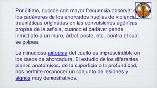 Por último, sucede con mayor frecuencia observar en
los cadáveres de los ahorcados huellas de violencias
traumáticas originadas en las convulsiones agónicas
propias de la asfixia, cuando el cadáver pende
inmediato a un muro, árbol, poste, etc., contra el cual
se golpea.
La minuciosa autopsia del cuello es imprescindible en
los casos de ahorcadura. El estudio de los diferentes
planos anatómicos, de la superficie a la profundidad,
nos permite reconocer un conjunto de lesiones y
signos muy demostrativos.
 