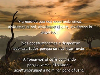 Y   a medida que nos acostumbramos,  olvidamos el sol, olvidamos el aire,   olvidamos la amplitud...   Nos acostumbramos a despertar  sobresaltados porque se nos hizo tarde;  A  t omarnos el café corriendo  porque vamos atrasados;  acostumbramos a no mirar para afuera;   