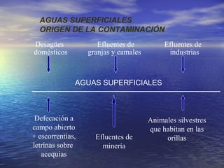 AGUAS SUPERFICIALES
  ORIGEN DE LA CONTAMINACIÓN
Desagües             Efluentes de          Efluentes de
domésticos        granjas y camales         industrias



              AGUAS SUPERFICIALES



 Defecación a                         Animales silvestres
campo abierto                         que habitan en las
+ escorrentías,     Efluentes de           orillas
letrinas sobre        minería
   acequias
 