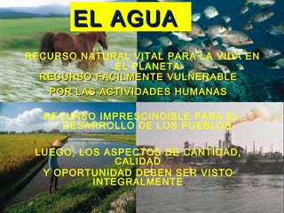 EL AGUA
RECURSO NATURAL VITAL PARA LA VIDA EN
             EL PLANETA
  RECURSO FACILMENTE VULNERABLE
   POR LAS ACTIVIDADES HUMANAS

  RECURSO IMPRESCINDIBLE PARA EL
     DESARROLLO DE LOS PUEBLOS

 LUEGO, LOS ASPECTOS DE CANTIDAD,
              CALIDAD
  Y OPORTUNIDAD DEBEN SER VISTO
          INTEGRALMENTE
 