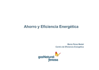 Ahorro y Eficiencia Energética



                              María Pérez Medel
                 Centro de Eficiencia Energética
 