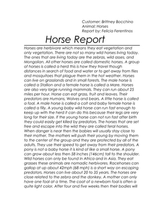 Customer: Brittney Bocchino
Animal: Horses
Report by: Felicia Ferentinos
Horse Report
Horses are herbivore which means they eat vegetation and
only vegetation. There are not so many wild horses living today.
The ones that are living today are the zebras, wild asses, and
Mongolian, All other horses are called domestic horses. A group
of horses is called a herd this is how they travel though
distances in search of food and water or to get away from flies
and mosquitoes that plague them in the hot weather. Horses
can live on grasslands and in small forests. The male horse is
called a Stallion and a female horse is called a Mare. Horses
are also very large running mammals. They can run about 25
miles per hour. Horse can eat grass, fruit and leaves. Their
predators are Humans, Wolves and bears. A little horse is called
a foal. A male horse is called a colt and baby female horse is
called a filly. A young baby wild horse can run fast enough to
keep up with the herd it can do this because their legs are very
long for their size. If the young horse can not run fast after birth
they could easily get killed by predators. The horses that are set
free and escape into the wild they are called feral horses.
When danger is near then the babies will usually stay close to
their mother. The mothers will push their young by moving them
to the center of the group and they are protected by all of the
adults. They use their speed to get away from their predators. A
pony is not a baby horse it is kind of like a small horse. A pony
can grow about less then 58 inches (146cm) tall to the shoulder.
Wild horses can only be found in Africa and in Asia. They eat
grasses these animals are nomadic herbivores. Racehorses can
gallop at up about 42mph (68 mph) is a short way on escaping
predators. Horses can live about 20 to 35 years. The horses are
close related to the zebra and the donkey. A mother can only
have one foal at a time. The coat of a newborn foal is often a
quite light color. After four and five weeks then their bodies will
 