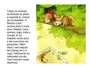 Todos os animais da floresta se põem a espreitá-lo, cheios de curiosidade. O Senhor Lobo revolve terra e mais terra. Depois, cava, semeia, rega, trata e monda. É um trabalho muito duro, e ele sua como um porquinho. Além disso, nem sequer tem tempo de ir à caça. Felizmente os rabanetes cor-de-rosa crescem muito depressa. 