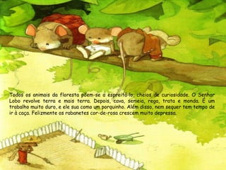 Todos os animais da floresta põem-se a espreitá-lo, cheios de curiosidade. O Senhor
Lobo revolve terra e mais terra. Depois, cava, semeia, rega, trata e monda. É um
trabalho muito duro, e ele sua como um porquinho. Além disso, nem sequer tem tempo de
ir à caça. Felizmente os rabanetes cor-de-rosa crescem muito depressa.
 