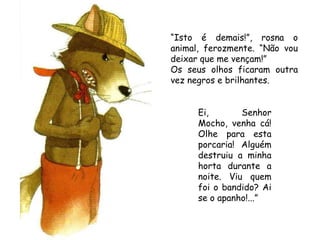 “ Isto é demais!”, rosna o animal, ferozmente. “Não vou deixar que me vençam!” Os seus olhos ficaram outra vez negros e brilhantes. Ei, Senhor Mocho, venha cá! Olhe para esta porcaria! Alguém destruiu a minha horta durante a noite. Viu quem foi o bandido? Ai se o apanho!...” 