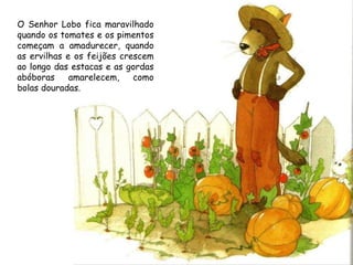 O Senhor Lobo fica maravilhado quando os tomates e os pimentos começam a amadurecer, quando as ervilhas e os feijões crescem ao longo das estacas e as gordas abóboras amarelecem, como bolas douradas. 