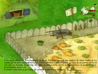 A luz suave da aurora toca levemente na horta. Primeiro, aparece uma espécie de ténue toalha de luz
rosada que se deita mansamente sobre a relva e folhas e, pouco a pouco, os raios de sol pintam as flores
com uma luz dourada. As pétalas, fechadas durante a noite, abrem-se suavemente e os girassóis viramse lentamente para o céu.
O Senhor Lobo abre as persianas da cozinha… e estremece de alegria.

 