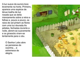 A luz suave da aurora toca
levemente na horta. Primeiro,
aparece uma espécie de
ténue toalha de luz
rosada que se deita
mansamente sobre a relva e
folhas e, pouco a pouco, os
raios de sol pintam as flores
com uma luz dourada.As
pétalas, fechadas durante a
noite, abrem-se suavemente
e os girassóis viram-se
lentamente para o céu.
O Senhor Lobo abre
as persianas da
cozinha… e
estremece de
alegria.
 