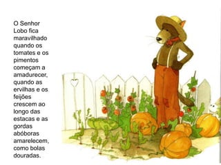 O Senhor
Lobo fica
maravilhado
quando os
tomates e os
pimentos
começam a
amadurecer,
quando as
ervilhas e os
feijões
crescem ao
longo das
estacas e as
gordas
abóboras
amarelecem,
como bolas
douradas.
 