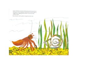 A house for hermit crab