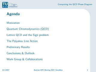 Computing the QCD Phase Diagram
Agenda
Motivation
Quantum Chromodynamics (QCD)
Lattice QCD and the Sign problem
The Polyakov Line Action
Preliminary Results
Conclusions & Outlook
Work Group & Collaborations
21.3.2017 Austrian HPC Meeting 2017, Grundlsee 1
 
