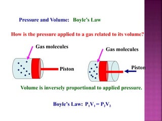 Pressure and Volume: Boyle’s Law
How is the pressure applied to a gas related to its volume?
Piston
Gas molecules
Piston
Gas molecules
Volume is inversely proportional to applied pressure.
Boyle’s Law: P1V1 = P2V2
 