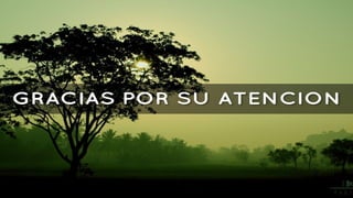 Jurisprudencia Técnica