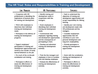 The HR Triad: Roles and Responsibilities in Training and Development 