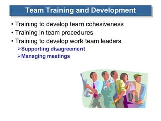 Team Training and Development Training to develop team cohesiveness Training in team procedures Training to develop work team leaders Supporting disagreement Managing meetings 