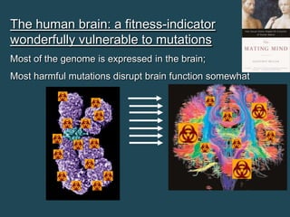 The human brain: a fitness-indicator
wonderfully vulnerable to mutations
Most of the genome is expressed in the brain;

Most harmful mutations disrupt brain function somewhat

 