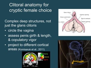 Clitoral anatomy for
cryptic female choice
Complex deep structures, not
just the glans clitoris
• circle the vagina
• assess penis girth & length,
& copulatory vigor
• project to different cortical
areas (Komisaruk et al., 2011)

 