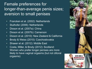 Female preferences for
longer-than-average penis sizes;
aversion to small penises
•
•
•
•
•
•
•
•

Francken et al. (2002): Netherlands
Stulhofer (2006): Netherlands
Dixson et al. (2007a): China
Dixson et al. (2007b): Cameroon
Dixson et al. (2010): New Zealand & California
Brody & Weiss (2010): Czechoslovakia
Shaeer et al. (2012): Middle East
Costa, Miller, & Brody (2012): Scotland:
Women who prefer longer penises are more
likely to have vaginal orgasms (but not clitoral
orgasms)

 