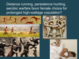 Distance running, persistence hunting,
aerobic warfare favor female choice for
prolonged high-wattage copulation?

 