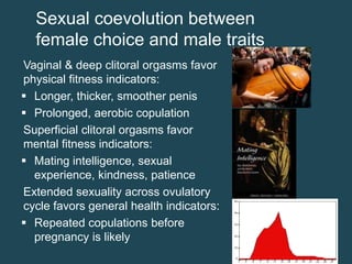 Sexual coevolution between
female choice and male traits
Vaginal & deep clitoral orgasms favor
physical fitness indicators:
 Longer, thicker, smoother penis
 Prolonged, aerobic copulation
Superficial clitoral orgasms favor
mental fitness indicators:
 Mating intelligence, sexual
experience, kindness, patience
Extended sexuality across ovulatory
cycle favors general health indicators:
 Repeated copulations before
pregnancy is likely

 
