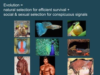 Evolution =
natural selection for efficient survival +
social & sexual selection for conspicuous signals

 