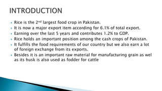 Pakistan Rice Production Production of Rice in Pakistan from 1947-2017 | PPTX