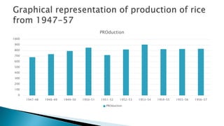 Pakistan Rice Production Production of Rice in Pakistan from 1947-2017 | PPTX
