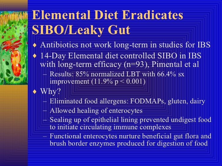 Sibo Info Elemental Diet For Leaky