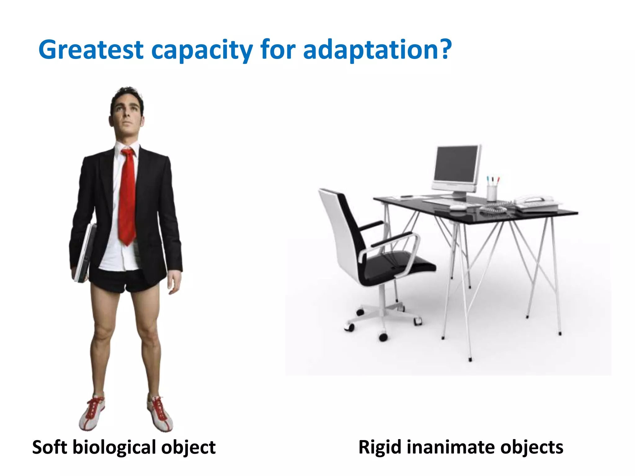 What Causes Low Resiliency to Work Stress?Genes?+ Stress+ DietPlus other lifestyle factors