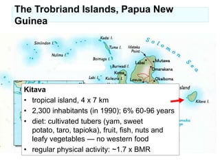 Clinical trialsPlacebo bread, real meatReal bread, placebo meat