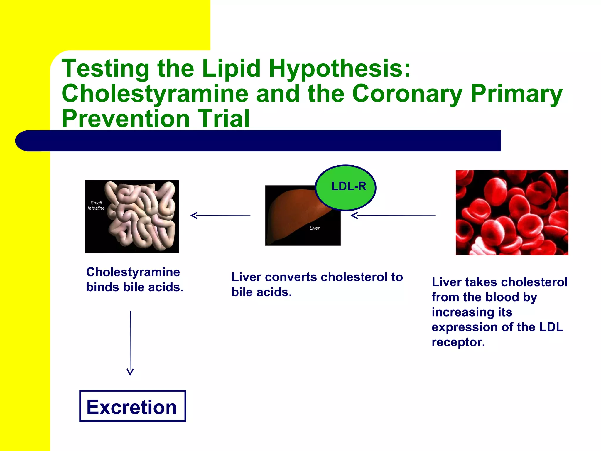 Testing the Lipid Hypothesis: Cholestyramine and the Coronary Primary Prevention Trial Cholestyramine binds bile acids. Excretion Liver converts cholesterol to bile acids. LDL-R Liver takes cholesterol from the blood by increasing its expression of the LDL receptor. 