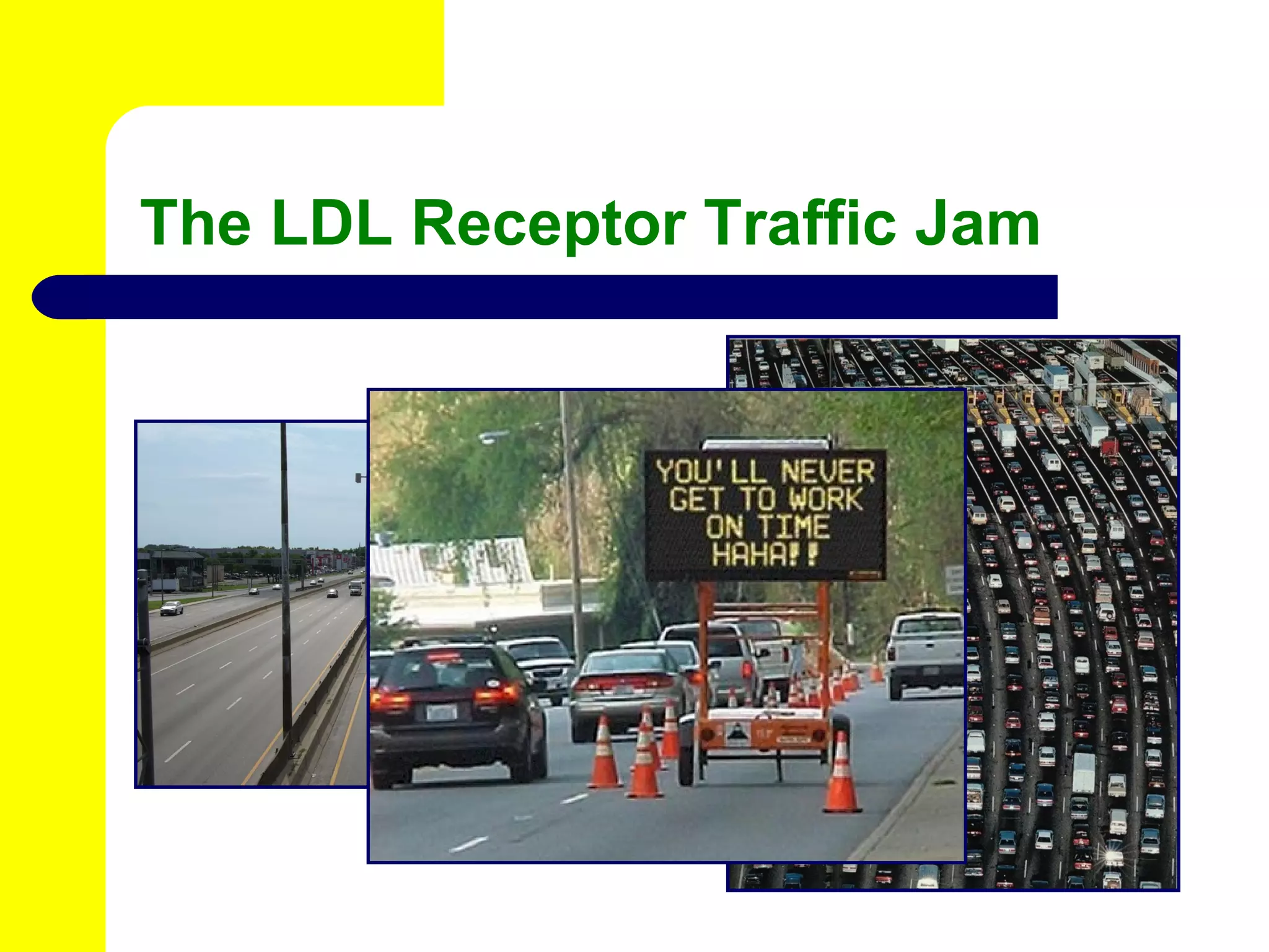 The LDL Receptor Traffic Jam 