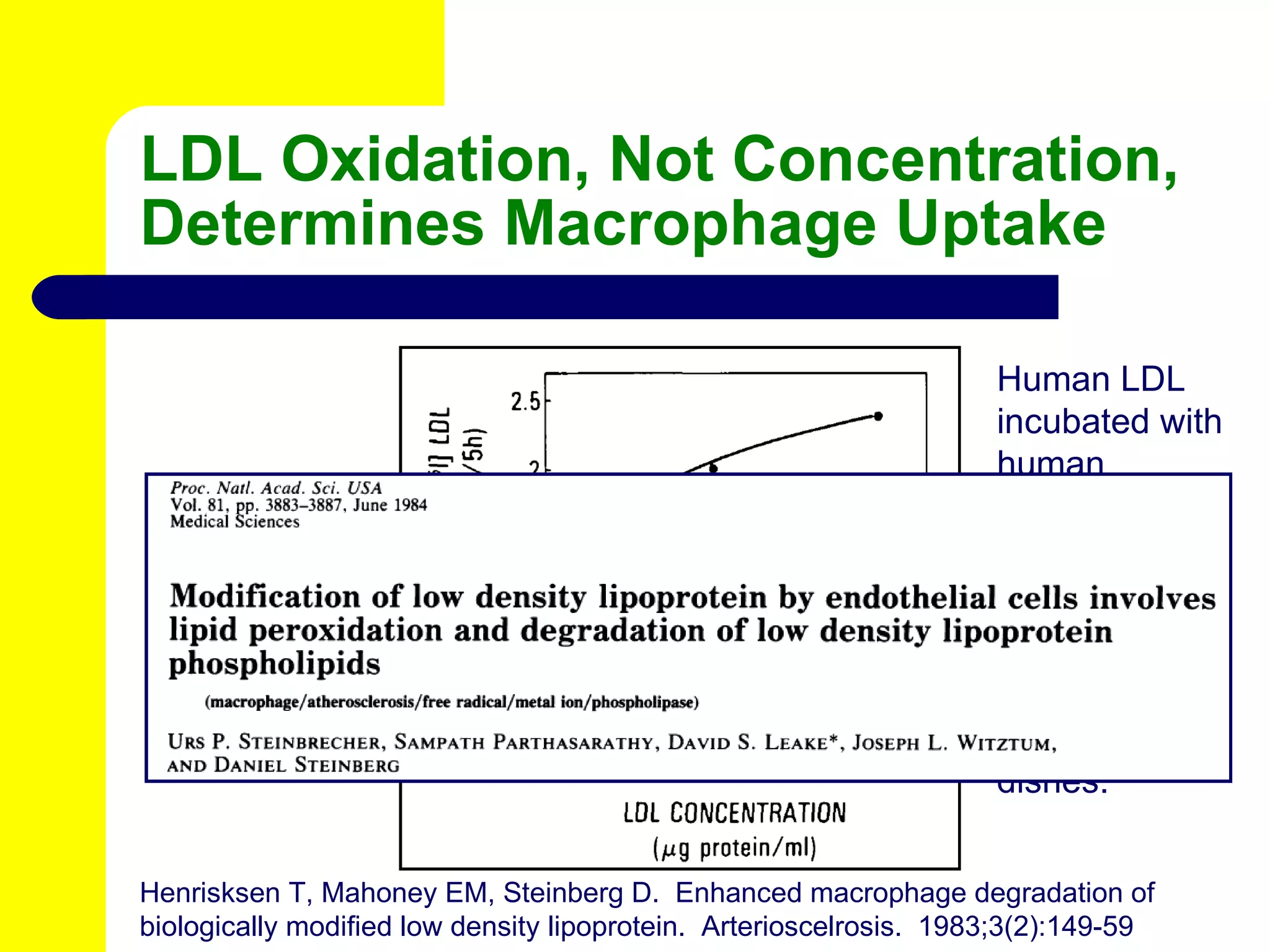 LDL Oxidation, Not Concentration, Determines Macrophage Uptake Human LDL incubated with human endothelial cells. Human LDL incubated in cell-free dishes. Henrisksen T, Mahoney EM, Steinberg D.  Enhanced macrophage degradation of biologically modified low density lipoprotein.  Arterioscelrosis.  1983;3(2):149-59 