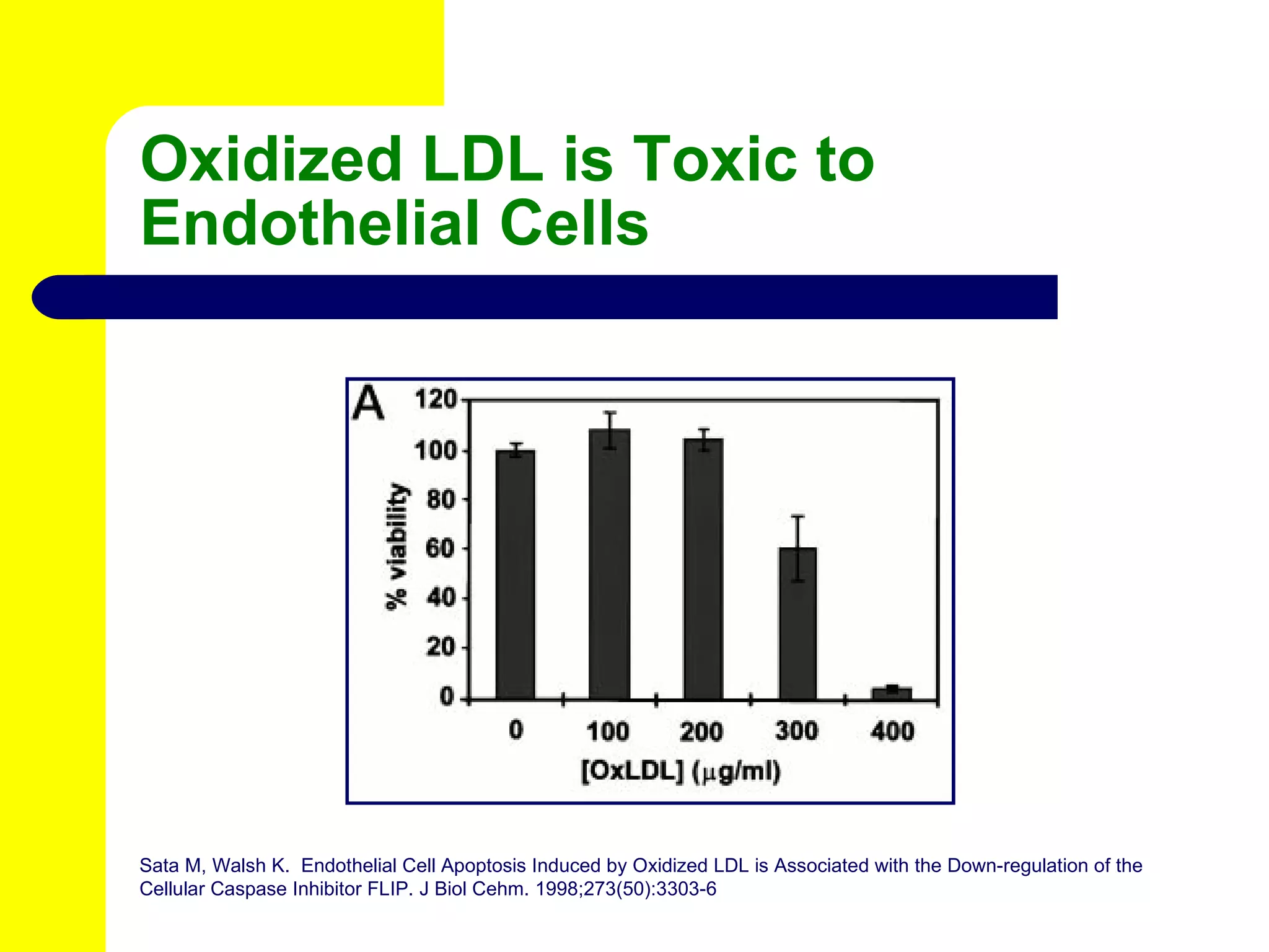 Oxidized LDL is Toxic to Endothelial Cells Sata M, Walsh K.  Endothelial Cell Apoptosis Induced by Oxidized LDL is Associated with the Down-regulation of the Cellular Caspase Inhibitor FLIP. J Biol Cehm. 1998;273(50):3303-6 