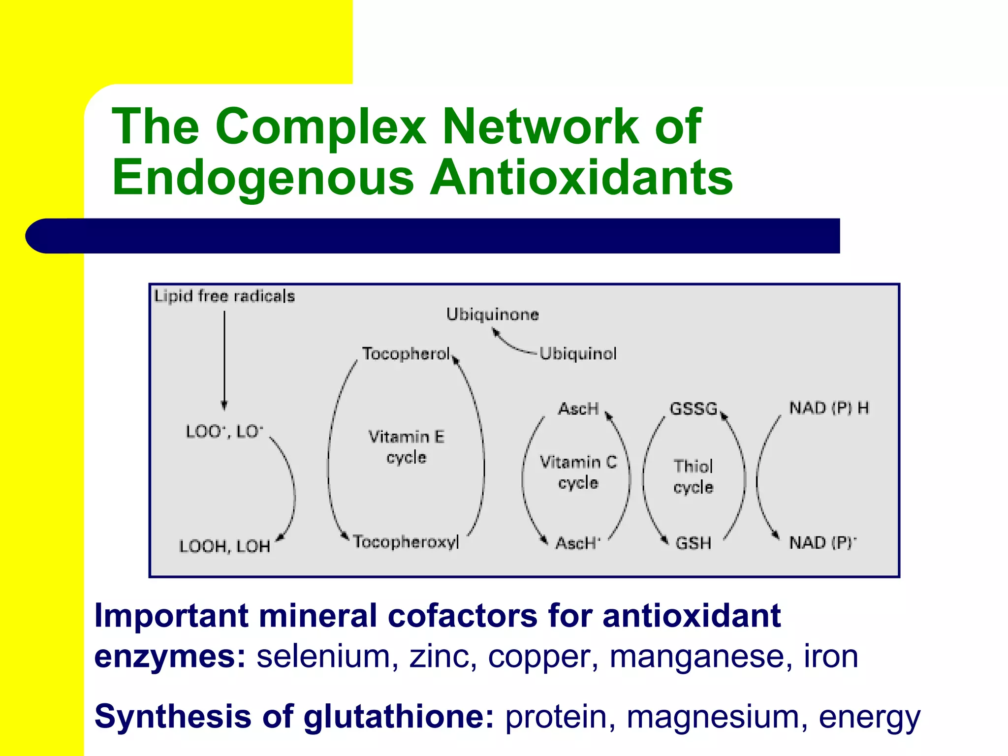The Complex Network of Endogenous Antioxidants Important mineral cofactors for antioxidant enzymes:  selenium, zinc, copper, manganese, iron Synthesis of glutathione:  protein, magnesium, energy 