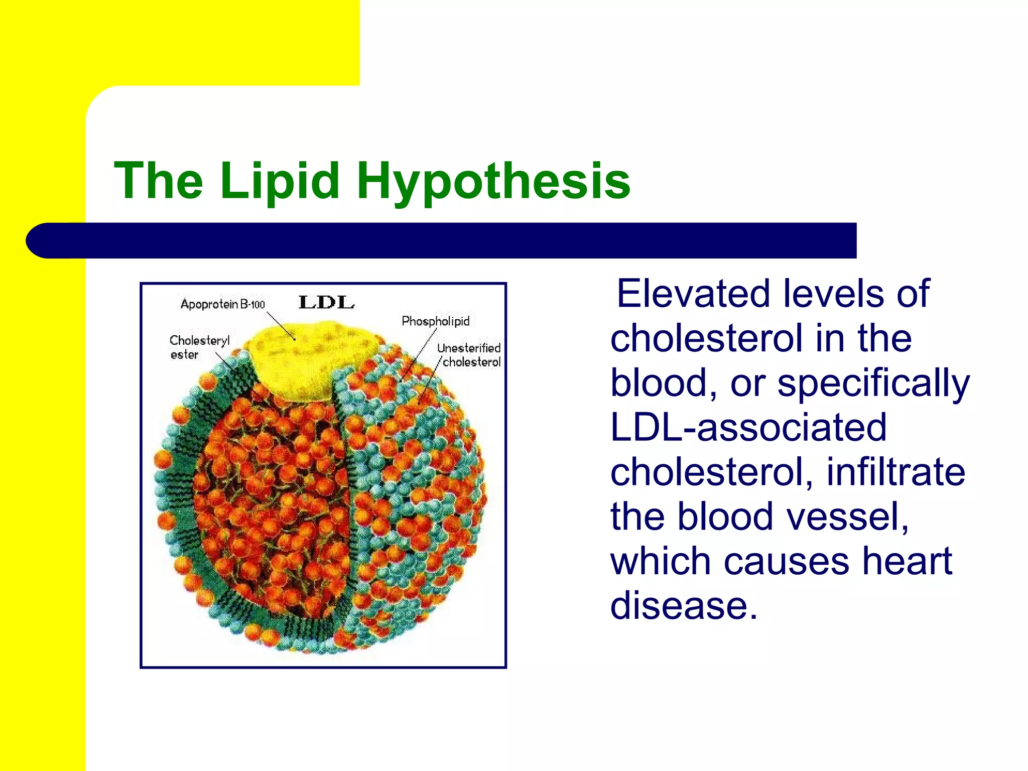 The Lipid Hypothesis Elevated levels of cholesterol in the blood, or specifically LDL-associated cholesterol, infiltrate the blood vessel, which causes heart disease. 